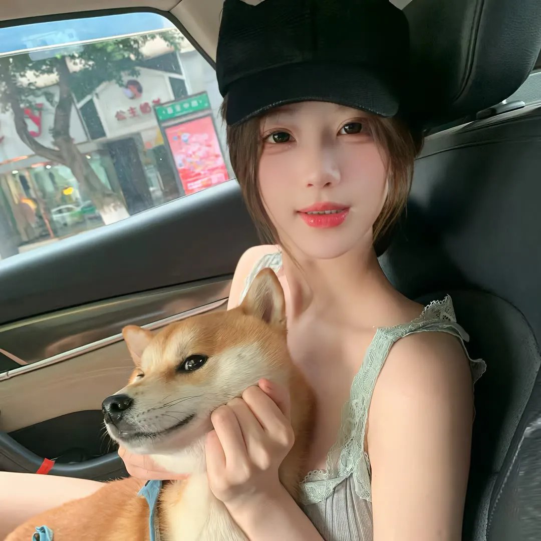 如我们所见